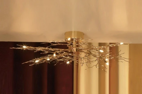 Потолочная люстра Lussole Autunnale LSQ-9017-10