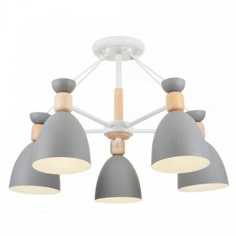 Потолочная люстра Freya Delia FR5033CL-05W