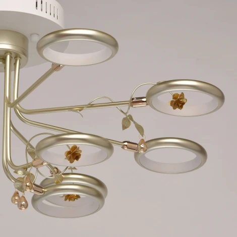 Потолочная люстра MW-Light Ивонна 459011512