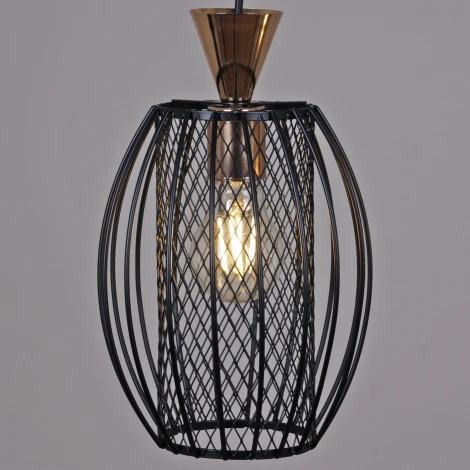 Подвесной светильник Reluce 02203-0.9-03 BK (на проводе)