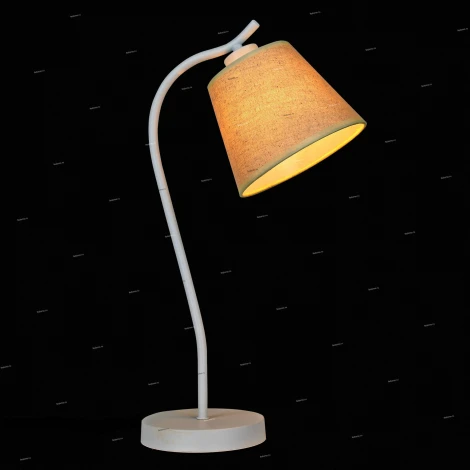 Интерьерная настольная лампа ST Luce Tabella SL964.504.01