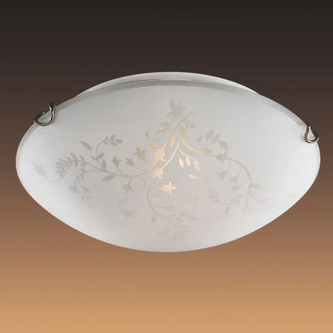 Настенно-потолочный светильник Sonex Kusta 118/K