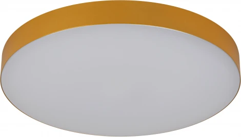 Потолочный светильник светодиодный ЭРА Relict 38 SPB-6-40 4К MG