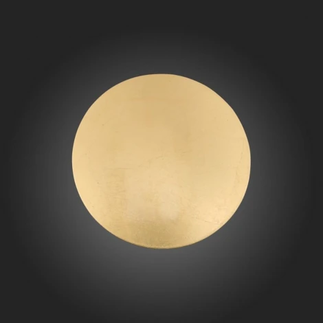 Настенный светильник ST Luce Aureo SL457.201.01