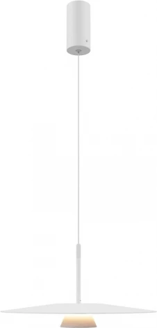 Подвесной светильник Maytoni Platte MOD352PL-L10W3K