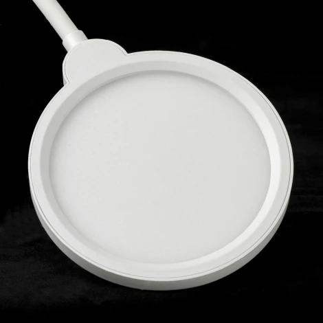 Торшер Lussole LGO Amador LSP-0919 (LED, 220V, выключатель)