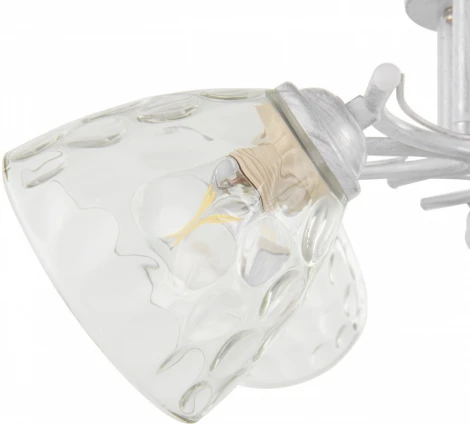 Потолочная люстра на штанге Arte Milano Napoli-6820 338756/5 WT+SL (220V)