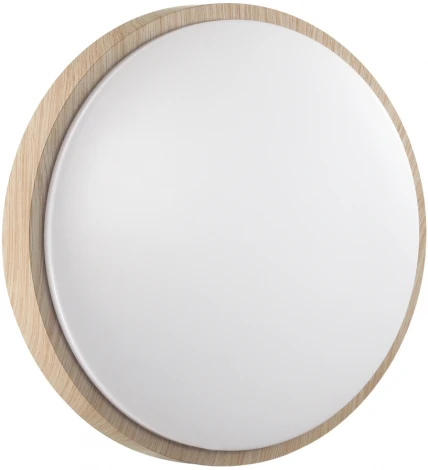 Настенно-потолочный светильник Losta 7607/EL Sonex (регулировка яркости, LED, 220V, пульт управления, круглые, IP43)