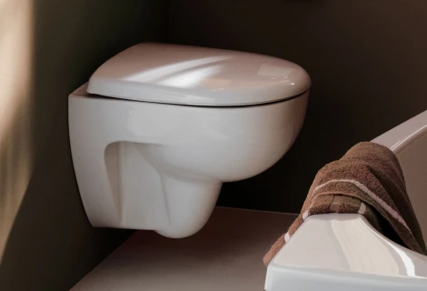 Унитаз подвесной Geberit Renova 500.801.00.1 с сиденьем и быстросъемной крышкой с микролифтом