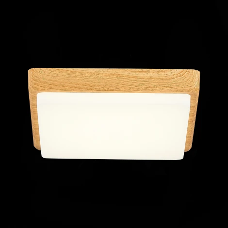 Потолочный светильник Evoluce Taddio SLE200202-01