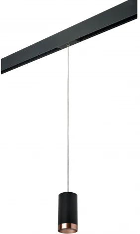 Трековый светильник однофазный 220V Lightstar Rullo PRORP437430 (круглые)