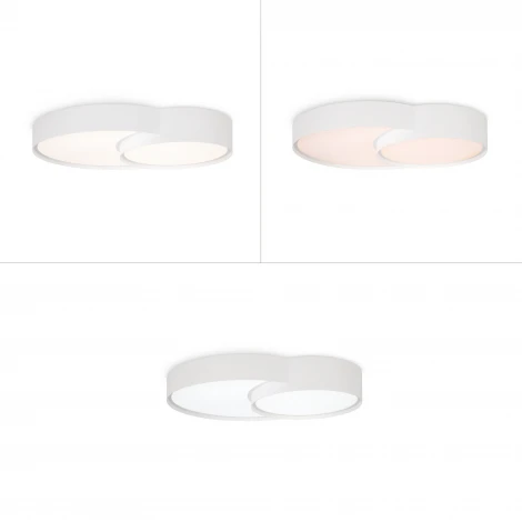 Потолочный светильник Freya Items FR6094CL-L72W