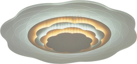 Потолочный светильник фигурный Мелодия Света SS1L 000029124