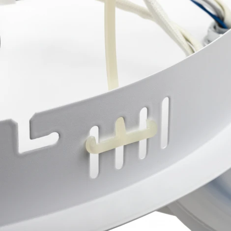 Потолочная люстра светодиодная Ritter Carino 52069 0