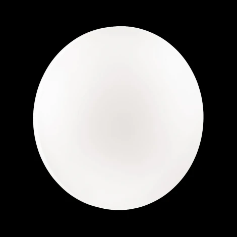 Настенно-потолочный светильник Sonex Simple 3017/CL (LED, 220V, круглые, IP43)