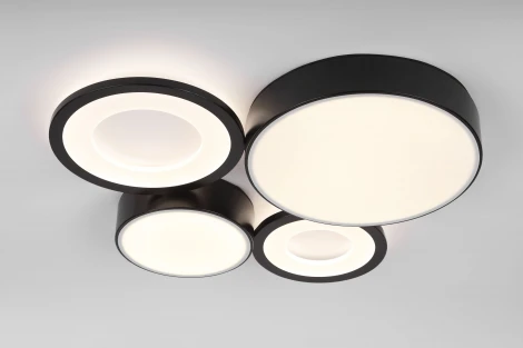 Потолочный светильник светодиодный с пультом регулировкой цветовой температуры и яркости Rivoli Aliona 6161-701