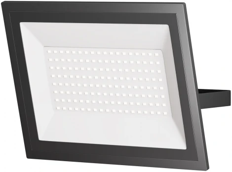 Прожектор уличный светодиодный Maytoni Flood FL001-L100B6K (220V, IP65)