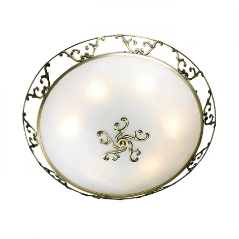 Настенно-потолочный светильник Odeon Light Tarta 2727/6C