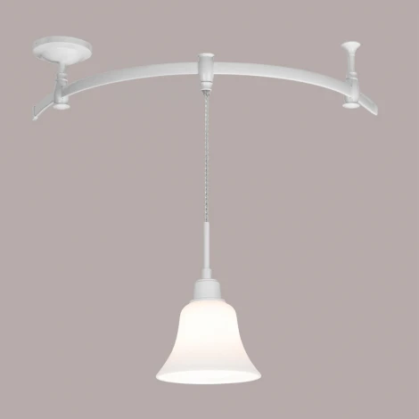 Трековый светильник Citilux Модерн CL560210 (220V)