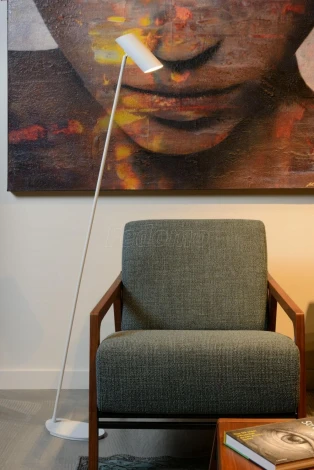 Торшер-прожектор Lucide Hester 19700/01/31 (220V)