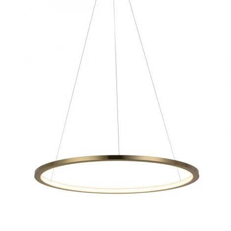 Подвесной светильник Loft IT Ring 10014M (LED, 220V, на тросе, кольцо)