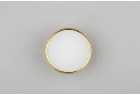 Накладной светильник Omnilux Abano OML-103329-12 (LED, 220V, круглые)