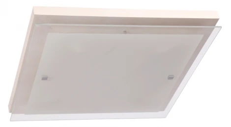 Настенно-потолочный светильник Дубравия Эко 106-11-24/2H