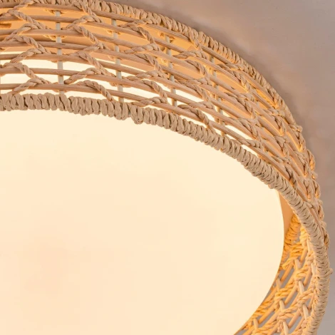 Потолочный светильник круглый LED F-Promo Conrad 4749-4C (регулировка яркости, 220V, пульт управления, круглые)