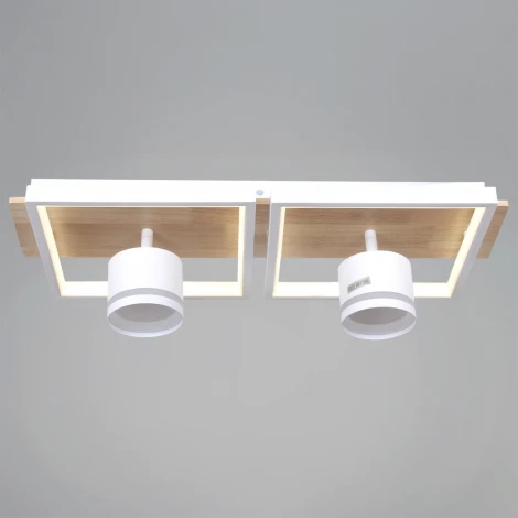 Потолочная люстра с пультом с регулировкой цветовой температуры, яркости и ночным режимом Reluce 19560-0.3-2+2 WH+WOOD