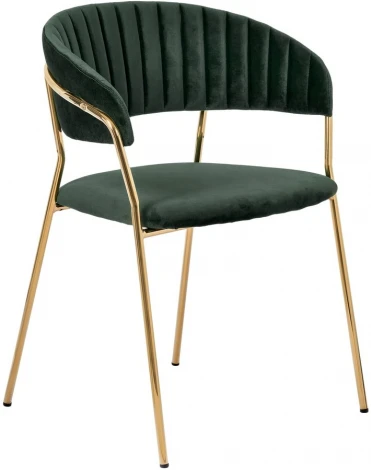 Комплект из 4-х стульев Turin зеленый с золотыми ножками Bradexhome арт.FR 0558K