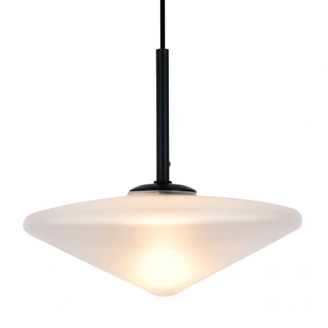 Подвесной светильник Indigo Option V000594 (11068/1P Black)