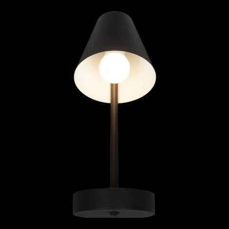 Настенные светильники Loft It Shelf 10216/1W Black (220V, выключатель)