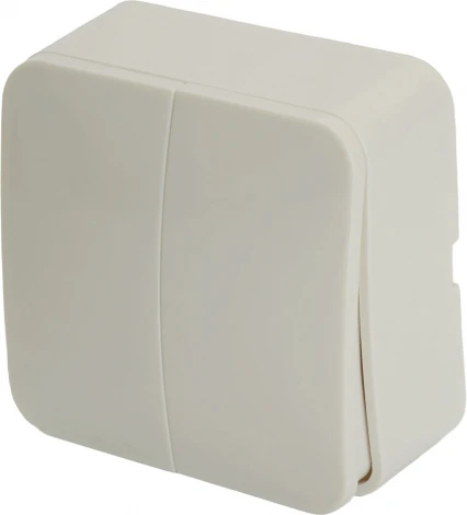 Выключатель двухклавишный (белый) Stekker София 49289