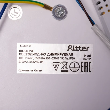 Потолочная люстра светодиодная с ДУ Ritter Pensata 52308 0