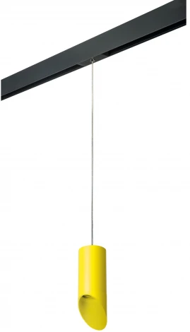 Трековый светильник однофазный 220V Lightstar Rullo PRORP43333 (круглые)