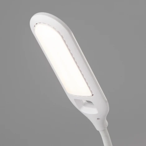 Офисная настольная лампа Elektrostandard Soft 80503/1