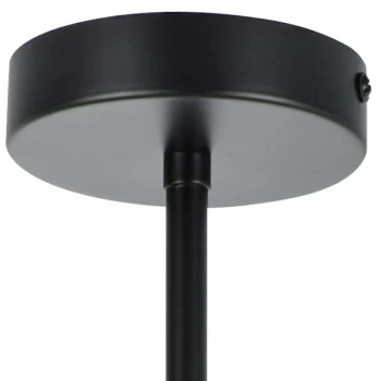 Потолочная люстра на штанге Lightstar Siena 720087 (220V)