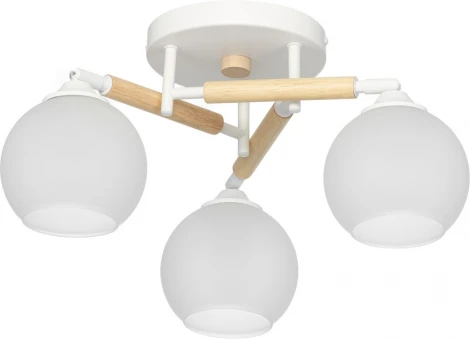 Потолочная люстра Citilux Tika CL133130