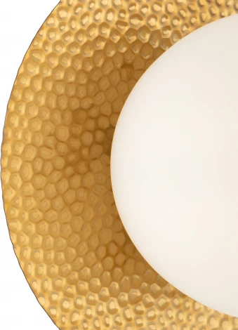 Бра Freya Camelia FR5202WL-01BS (220V, шар)