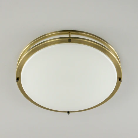 Настенно-потолочный светильник Citilux Бостон CL709503N