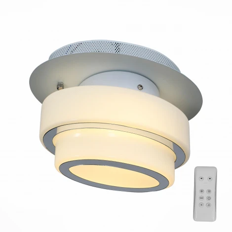 Настенно-потолочный светильник ST Luce Ovale SL546.501.01