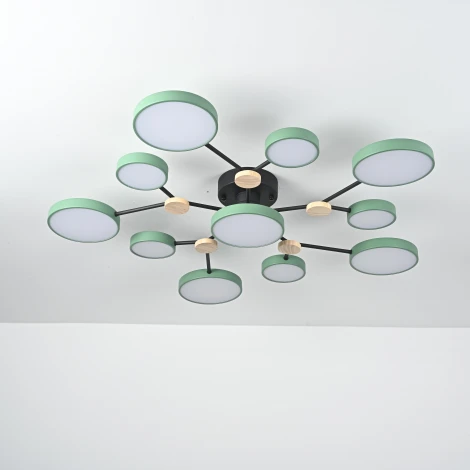 Потолочная люстра на штанге Gamma D102 Green Imperiumloft Gamma01 (223773-23) (LED, 220V, пульт управления, круглые)