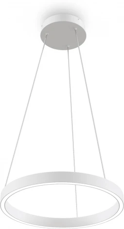 Подвесной светильник Maytoni Rim MOD058PL-L22WK (LED, 220V, на тросе, кольцо)