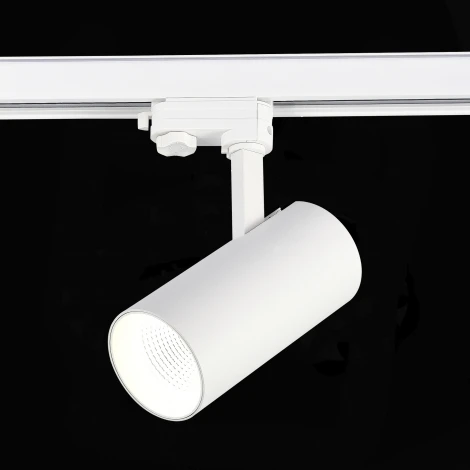 Трековый светильник трехфазный 220V ST Luce ST661 ST661.536.30 (LED, круглые)