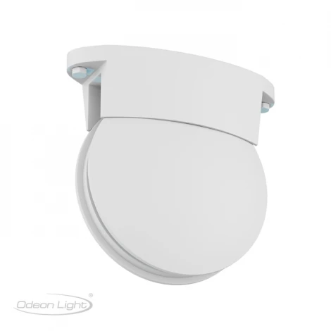 Потолочный светильник уличный Odeon Light Arrow 3917/9CL