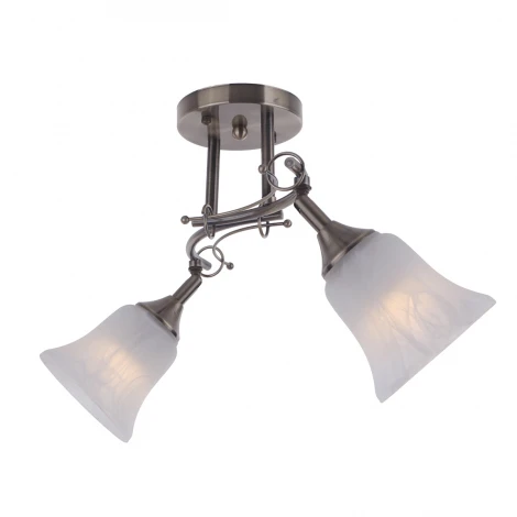 Потолочная люстра IDLamp Paolina 851/2PF-Oldbronze