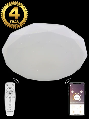 Потолочный светильник Natali Kovaltseva LED LAMPS 81082