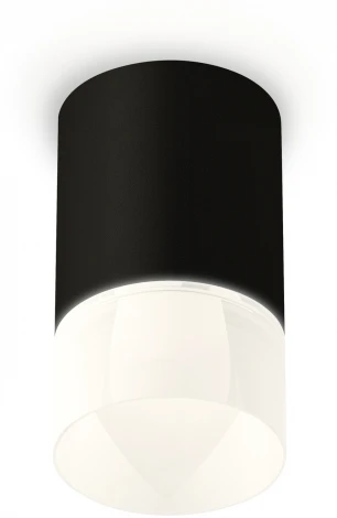 Накладной точечный светильник Ambrella Techno Spot XS7422025 (круглые)