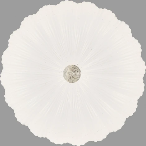 Настенно-потолочный светильник Feron Звездное небо 41236 (LED, 220V, пульт управления, круглые)