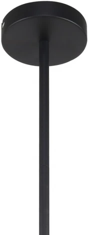 Потолочная люстра на штанге Chart 3092-10P F-Promo (220V)